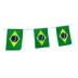 Bandeirola bandeira do Brasil com 6 metros Neotrentina
